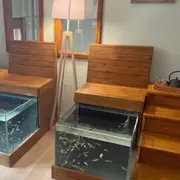 Fish Spa à Sélestat (67)