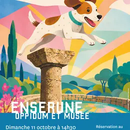 Flair D'Histoire Au Musee Archeologique D'Enserune