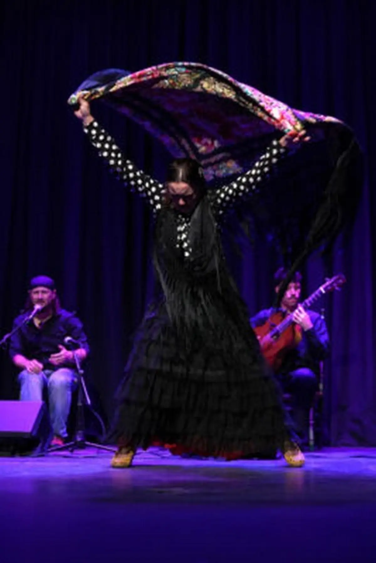 Flamenco en resistencia