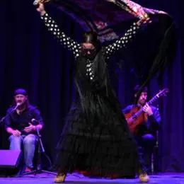 Flamenco en resistencia