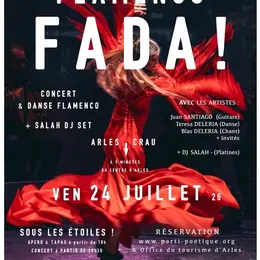 Flamenco Fada !