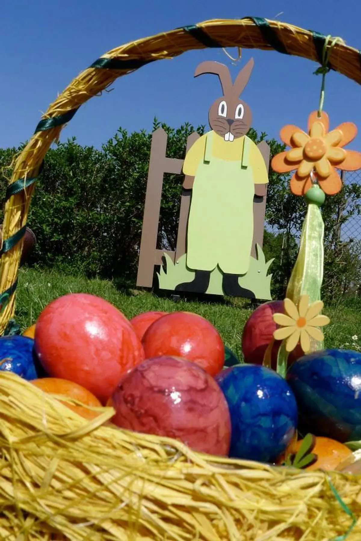 Flânerie des lièvres