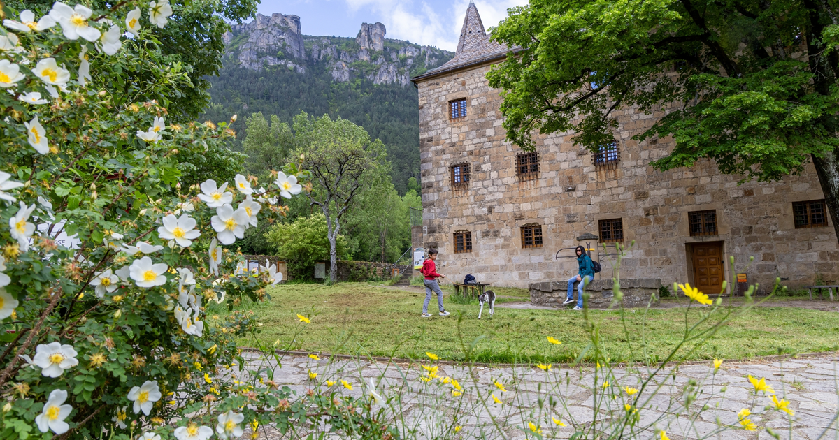 Flânerie Villageoise De Florac