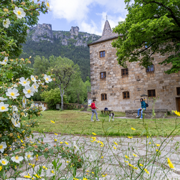 Flânerie Villageoise De Florac
