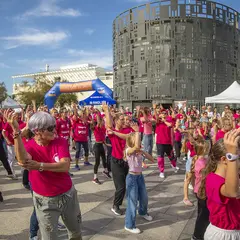 Flashmob Rose