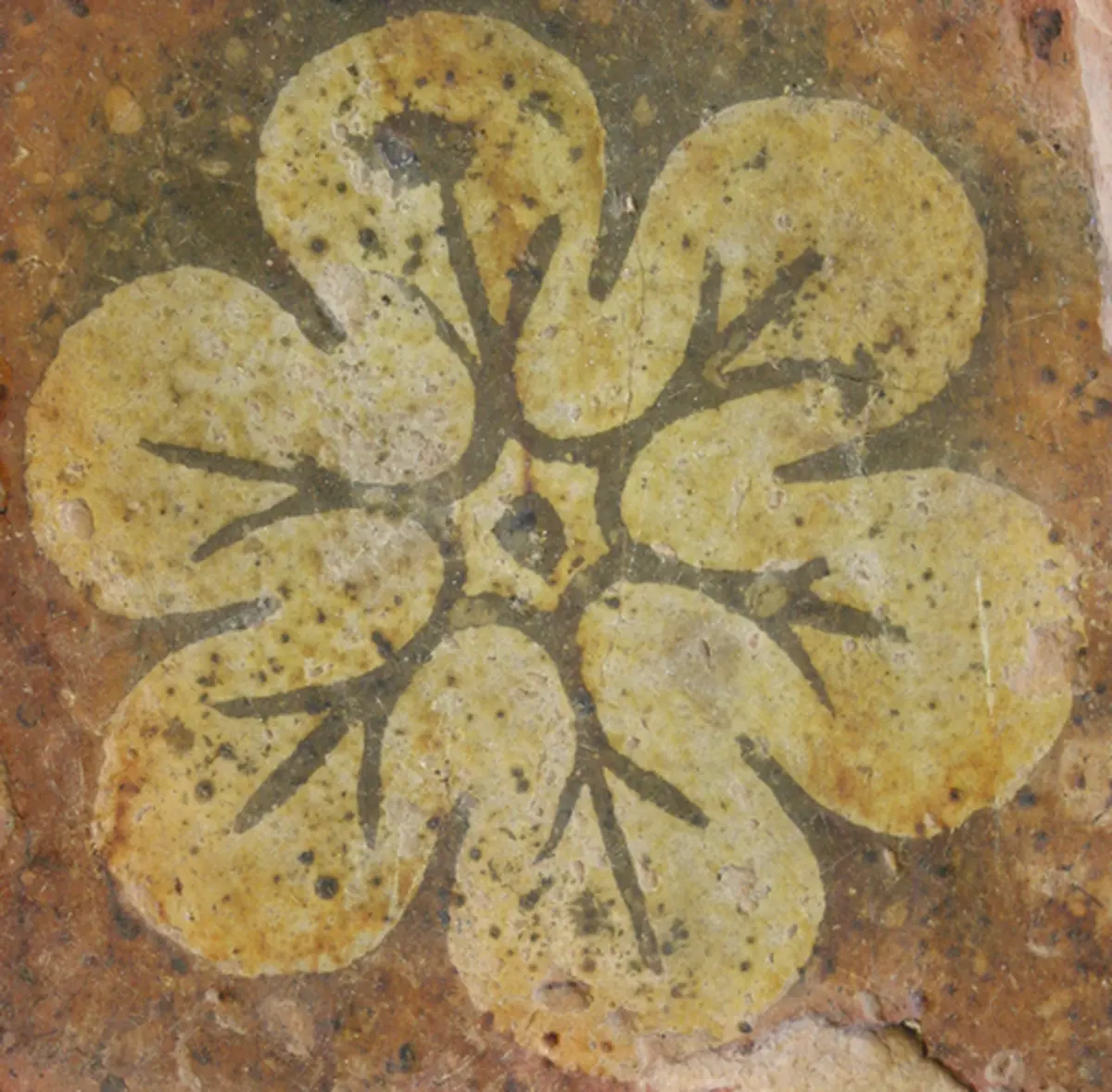 Fleur, basilic ou chevalier ? - Atelier vacances