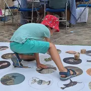 Flip au musée : Jeux en autonomie