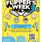 Flipper's week 3.8