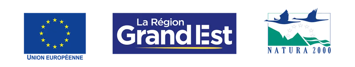 Flore des prairies humides