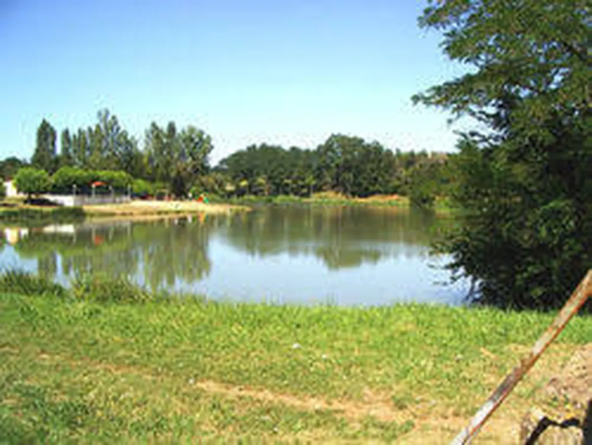 Flore du marais de Laromet
