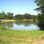 Flore du marais de Laromet