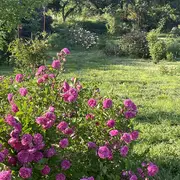 Florilège à La Roseraie