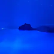 Flottaison en Isolation Sensorielle à Reims (51)