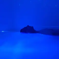 Flottaison en Isolation Sensorielle à Reims (51)