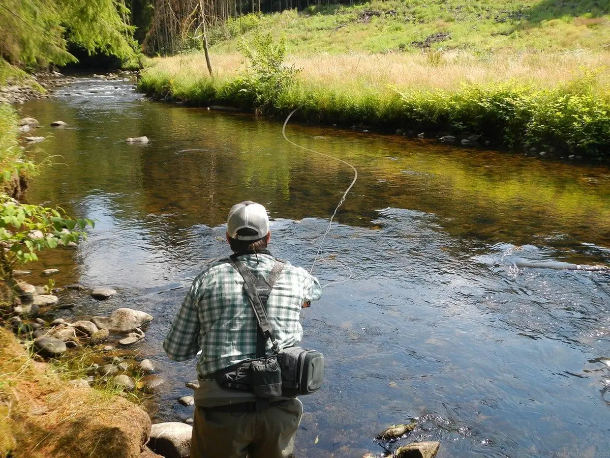 Flyfishing guide : guide de pêche à la mouche en Alsace - Fermé