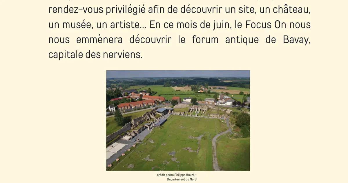 Focus On Forum Antique de Bavray