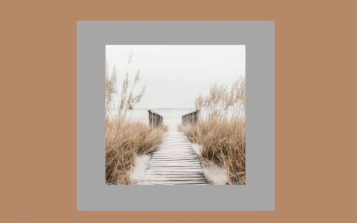 FOCUS – thème : Arbres