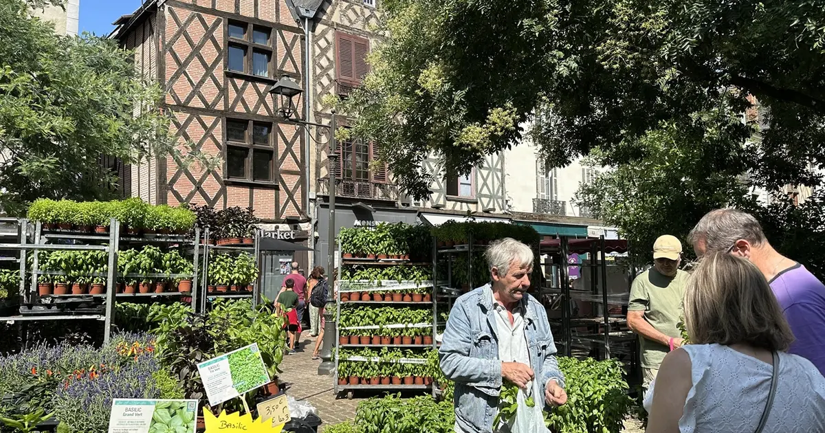Foire à l'ail et au basilic