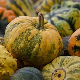 Foire à la courge