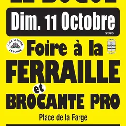 Foire à la ferraille et brocante pro