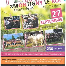 Foire agricole de Montigny Le Roi