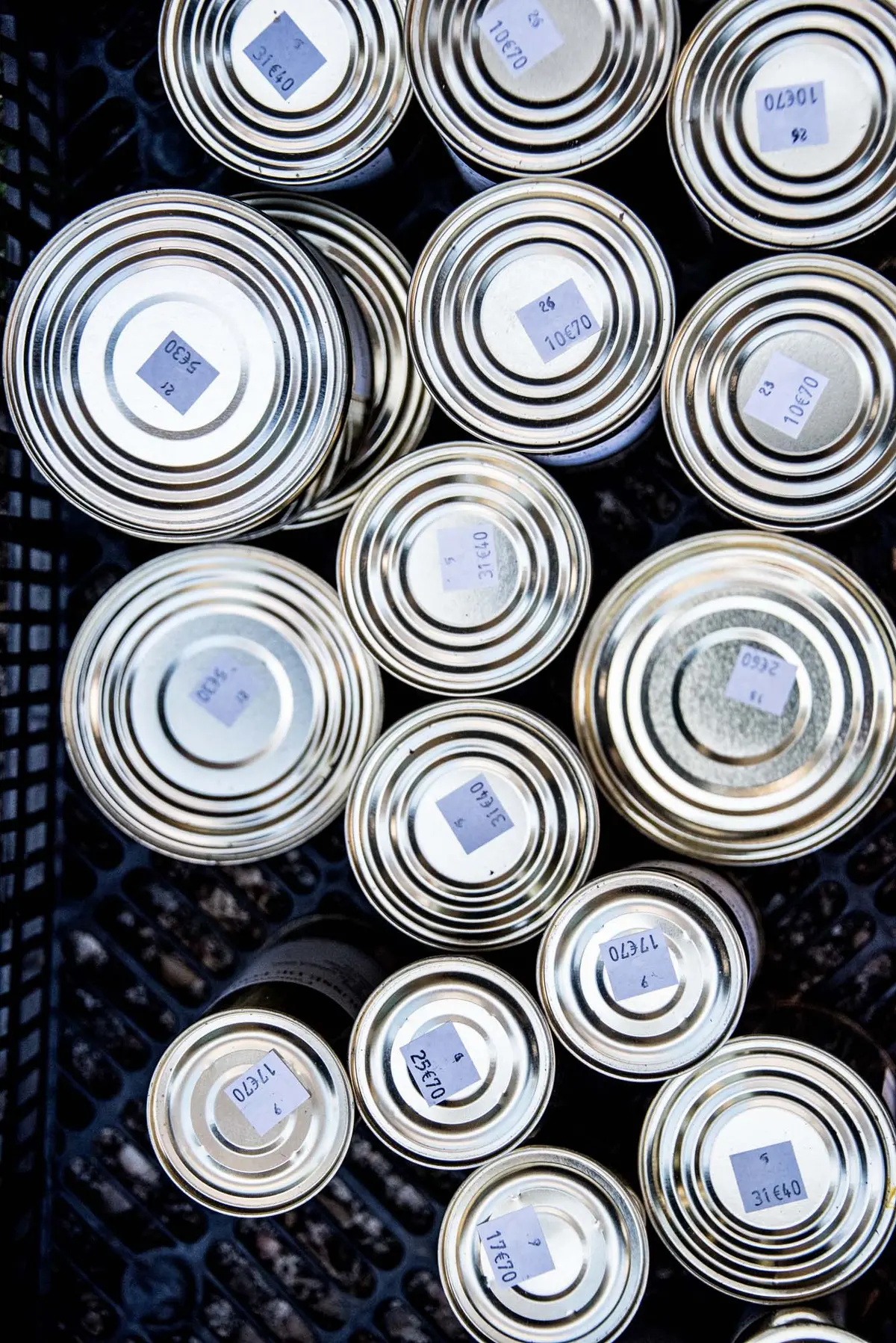 Foire au gras et Ateliers confection pâtés