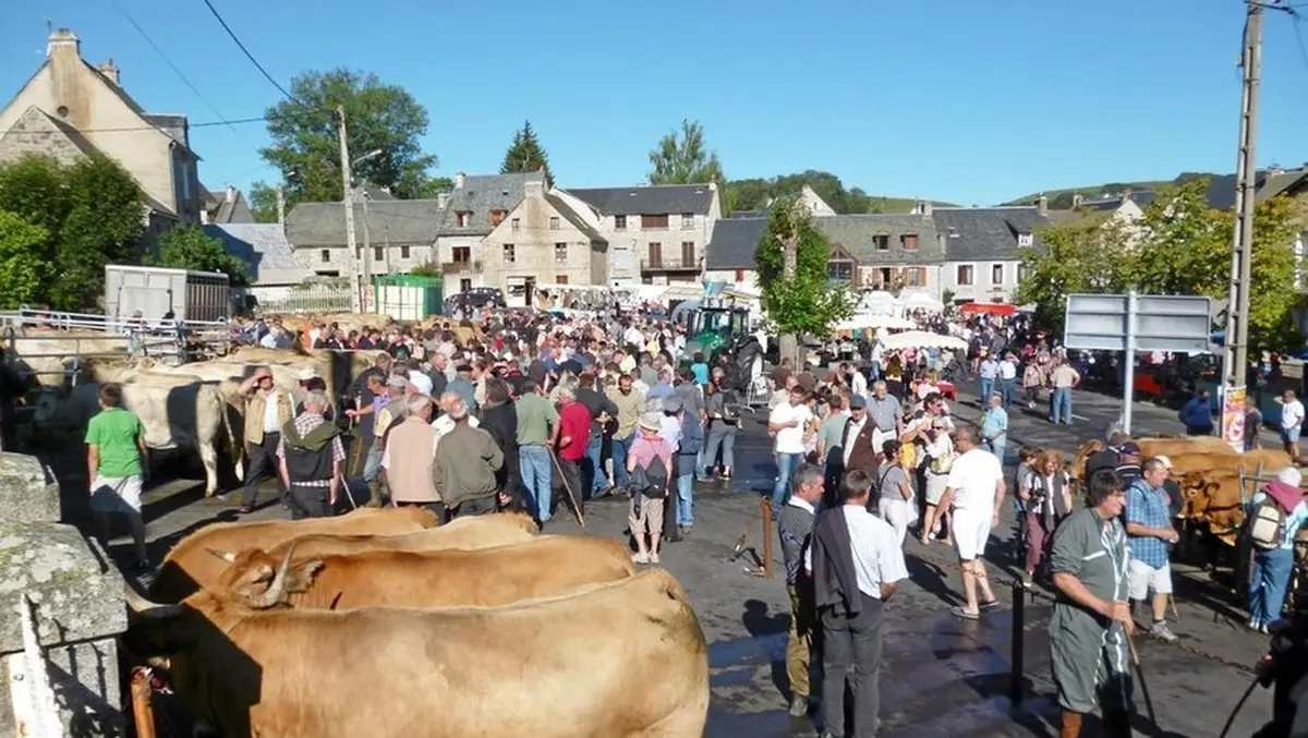 Foire Aux Bestiaux à Nasbinals