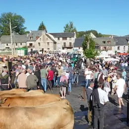 Foire Aux Bestiaux à Nasbinals
