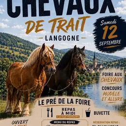 Foire Aux Chevaux