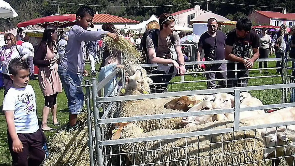 Foire Aux Chevreaux