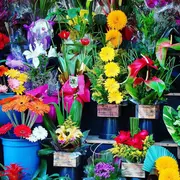 Foire aux Fleurs
