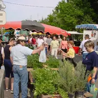 La Foire aux Foins de Durmenach et ses nombreux stands &copy; André et Thomas Zundel - Ronde des fêtes