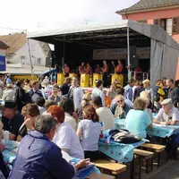 De la musique accompagne les visiteurs de la Foire aux Foins &copy; André et Thomas Zundel - Ronde des fêtes