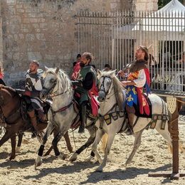 Foire aux Laines - Fête médiévale