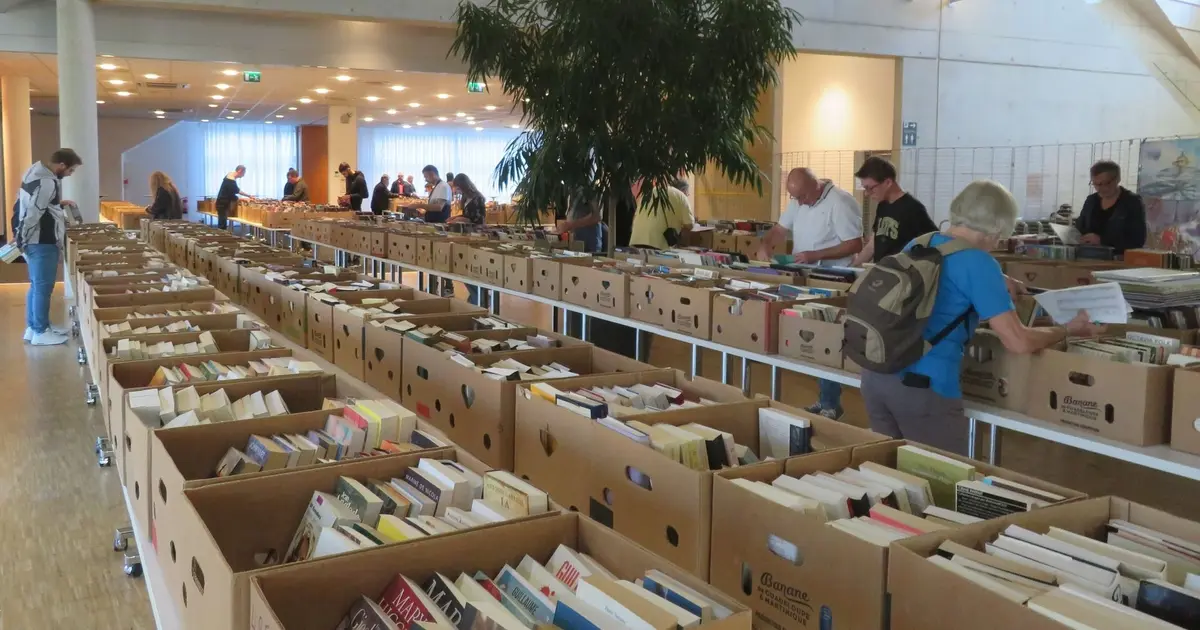 Les amateurs de lecture sont au bon endroit !
