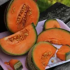 Foire aux melons