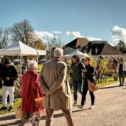 Foire aux plantes