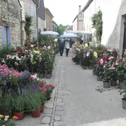 Foire aux plantes et aux fleurs