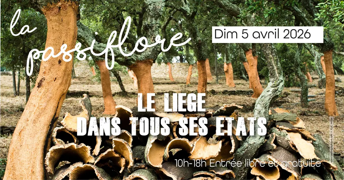 Foire aux plantes La Passiflore : le liège dans tous ses états