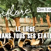 Foire aux plantes La Passiflore : le liège dans tous ses états