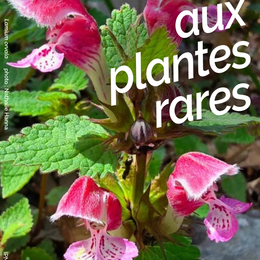 Foire aux plantes rares