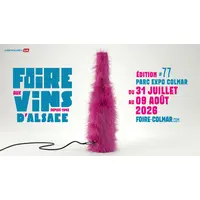 L'affiche de la FAV 2026 DR