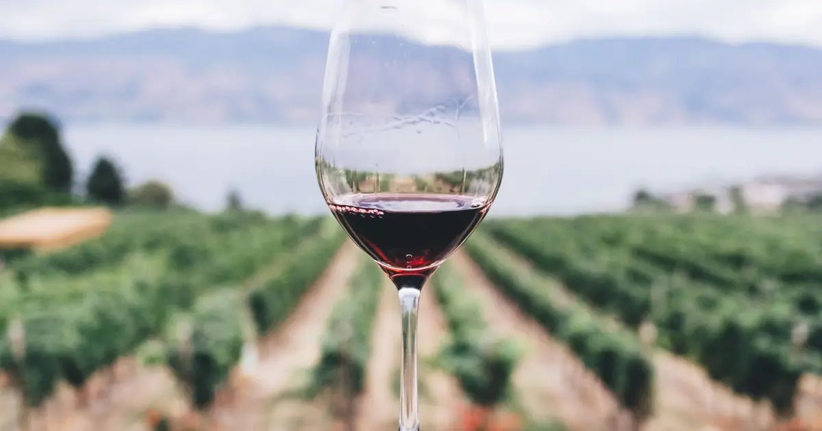 Les vins sont à l'honneur à la Foire aux Vins de Colmar