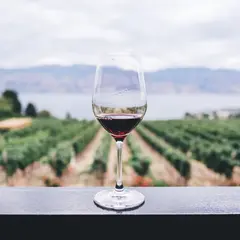 Foire aux Vins d'Alsace 2026
