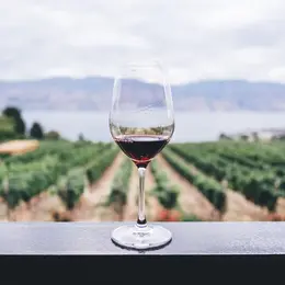 Foire aux Vins d'Alsace 2026