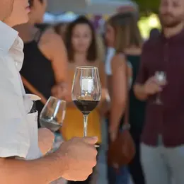 Foire aux Vins de Marcillac