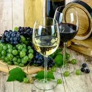 Foire aux vins et aux produits régionaux