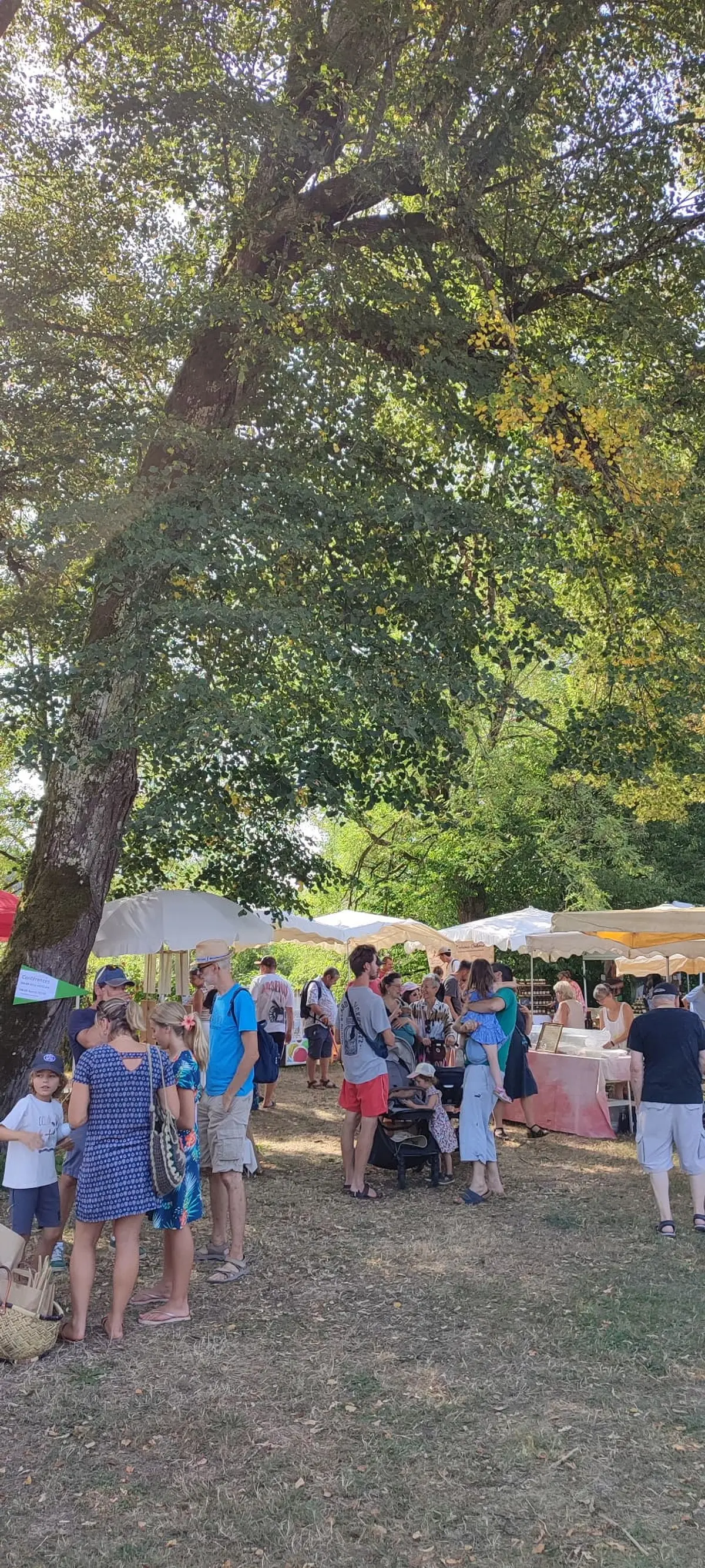 Foire bio et artisanale de Beaulieu sur Dordogne