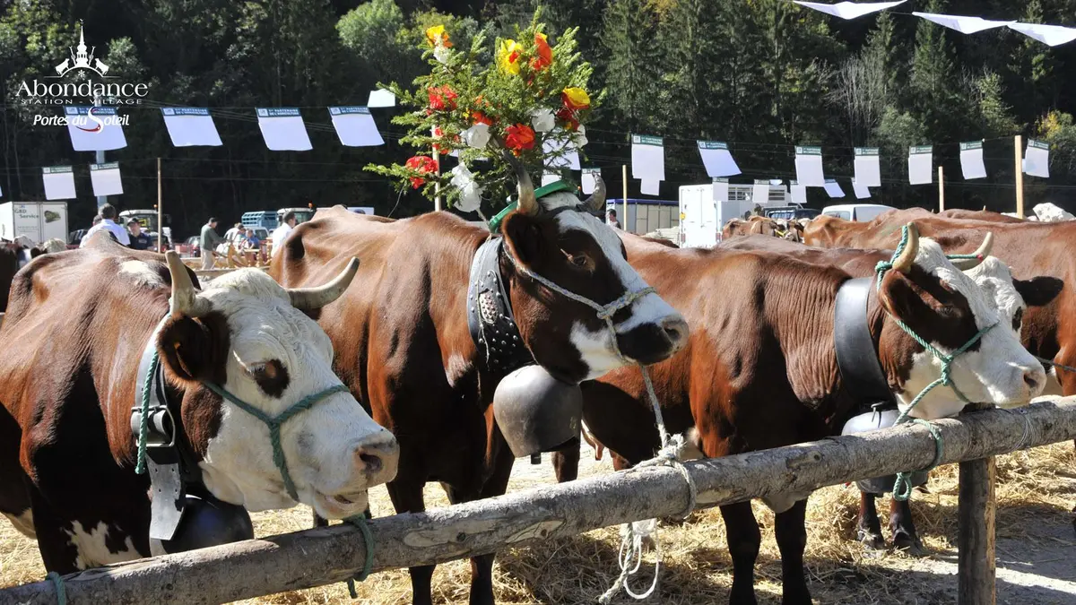 Foire d’automne à Abondance