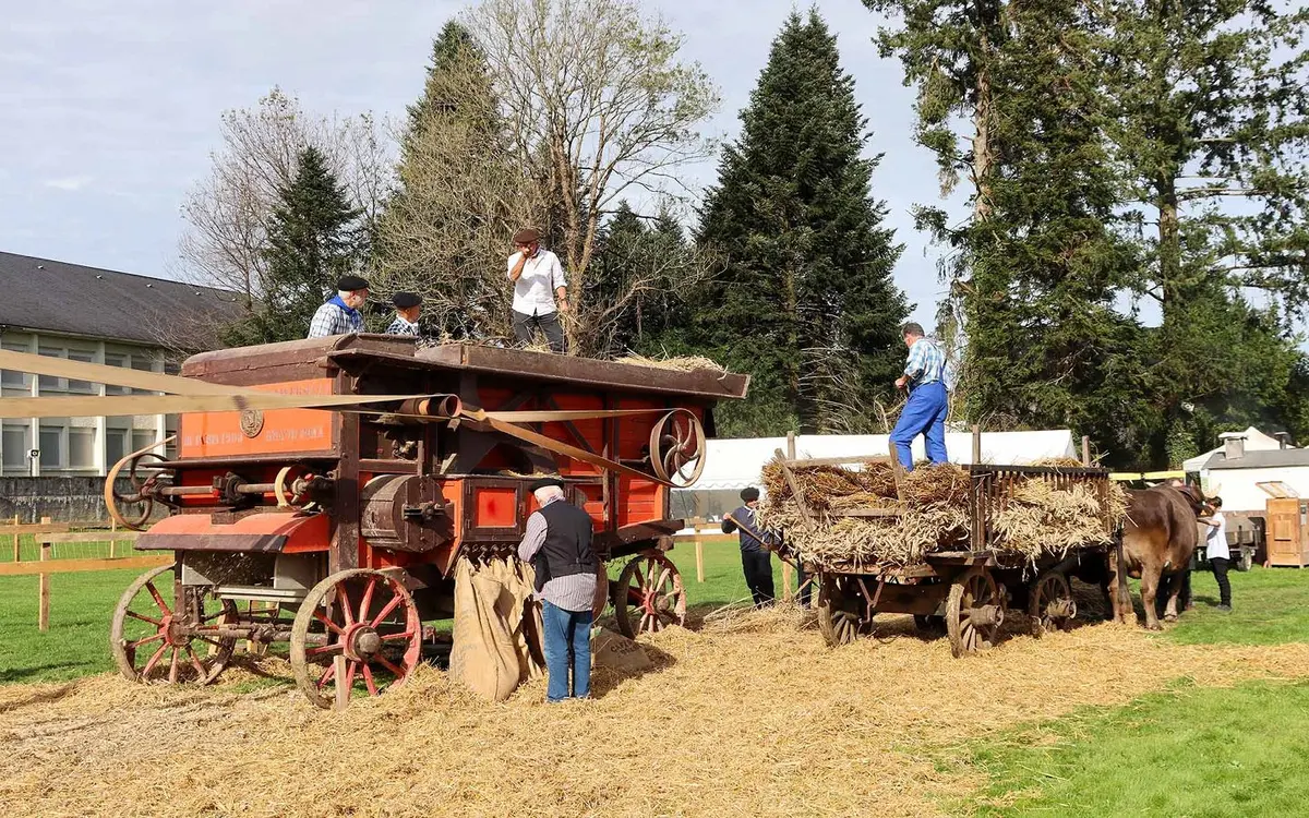 Foire d'Automne à Arudy